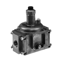 FRI: Регулятор давления для DMV